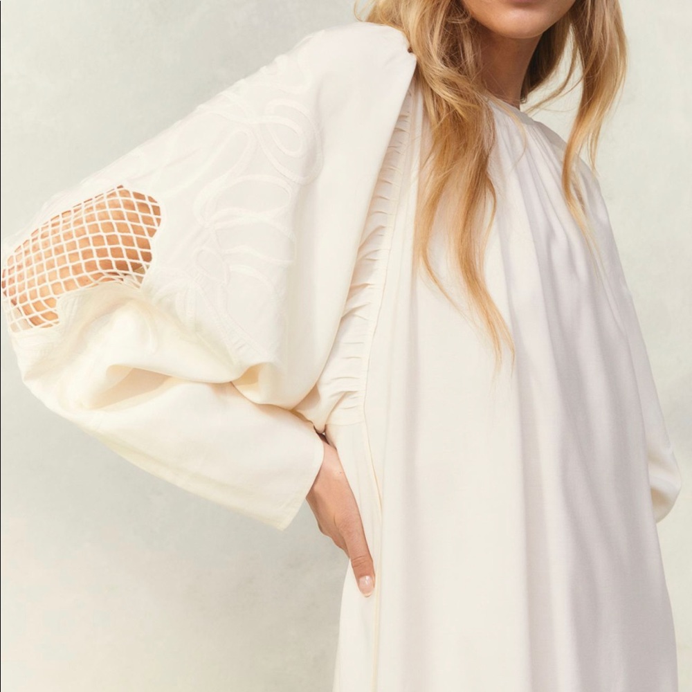 Voluminous Embroidery Dress
